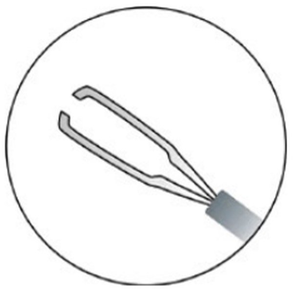 FAM-NC-165160-tip