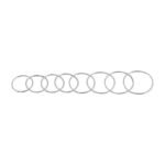 Goldman Scleral Fixation Ring